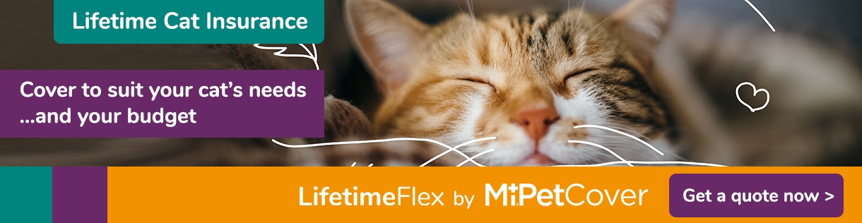 Get a quote for Cat Insurance from MiPet Cover