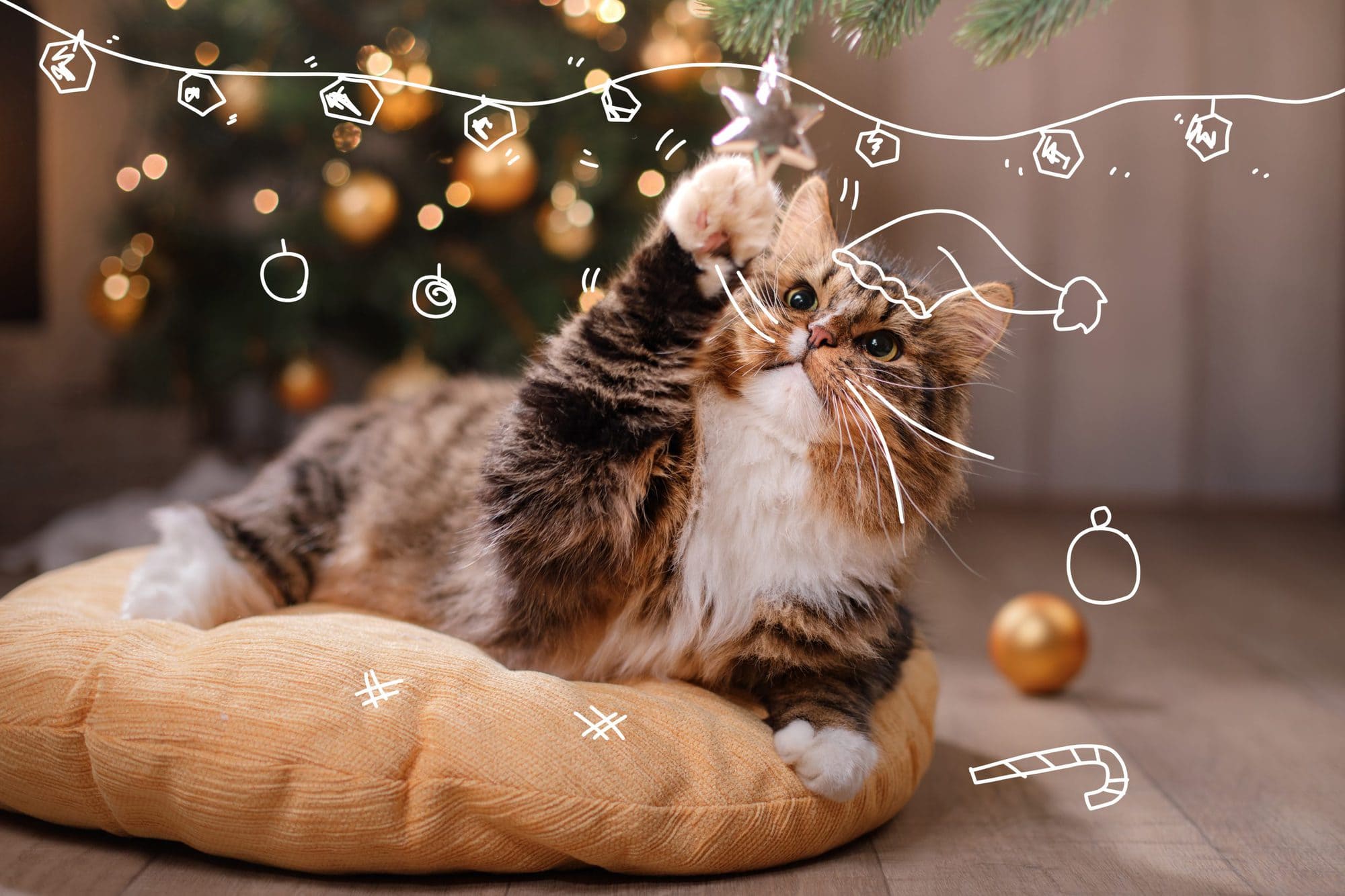 A cat plays with Christmas tree decorations. Cat Christmas Gifts
