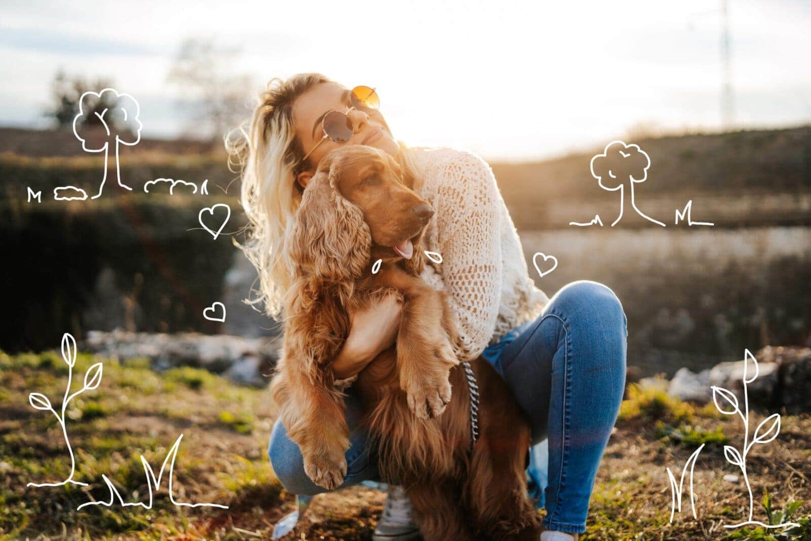 Cocker Spaniel dog breed profile