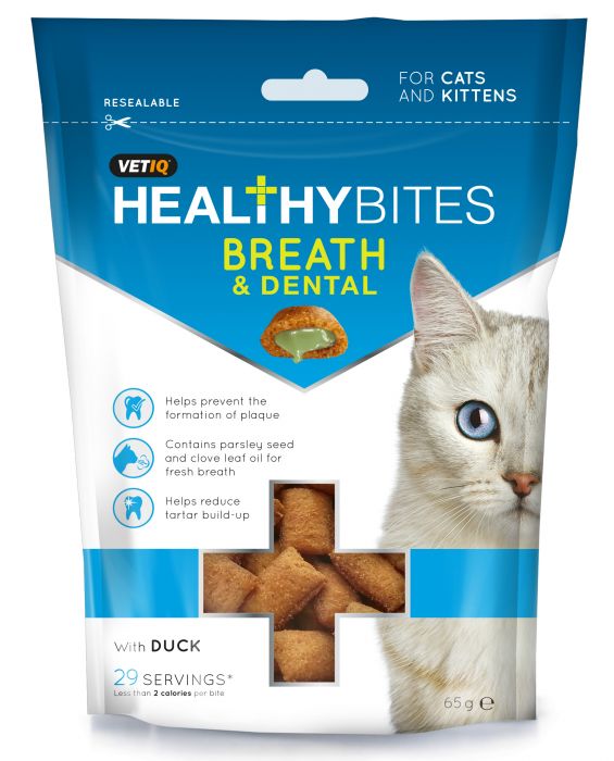 cat healthy bites