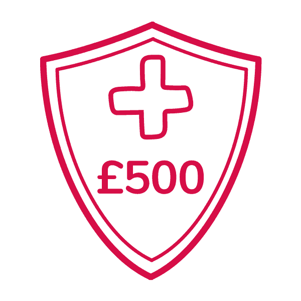 £500 of vet free cover included in your free pet insurance