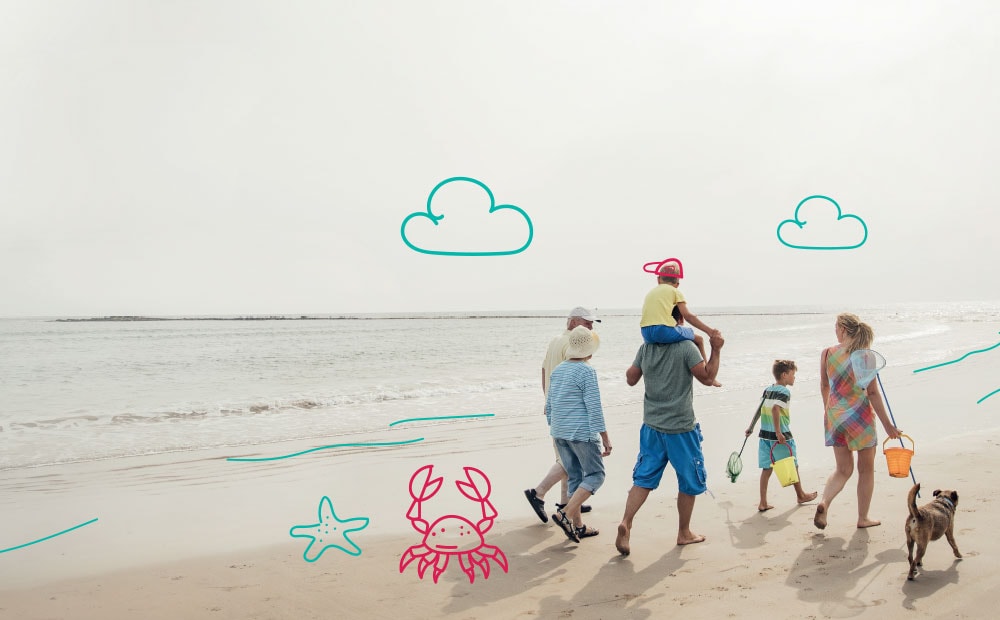 About MiPet Cover - A family together on a sunny beach with their dog