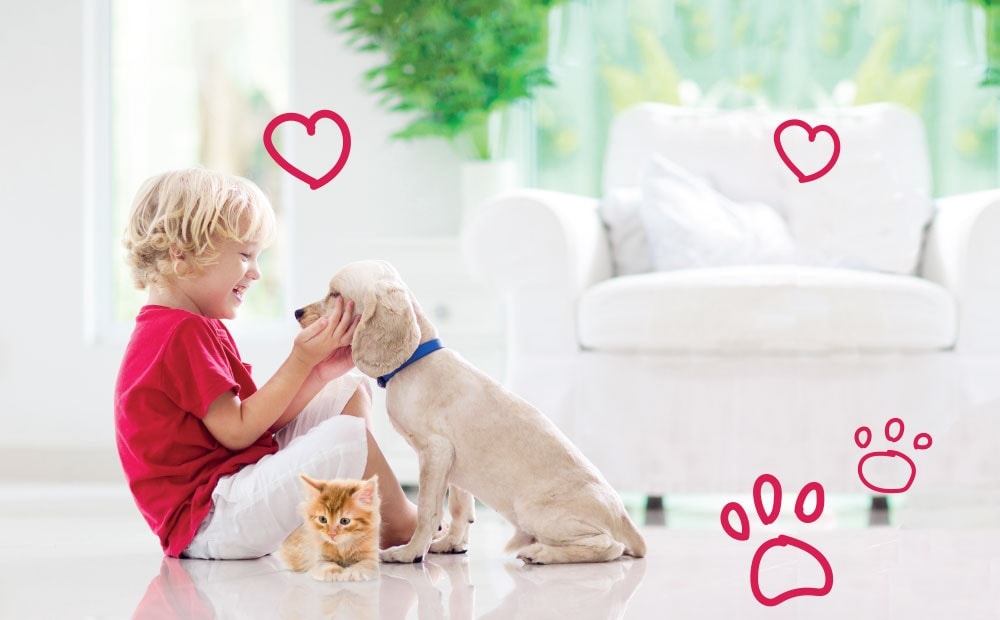 WalkawayCover - Free puppy insurance & kitten insurance | MiPet Cover