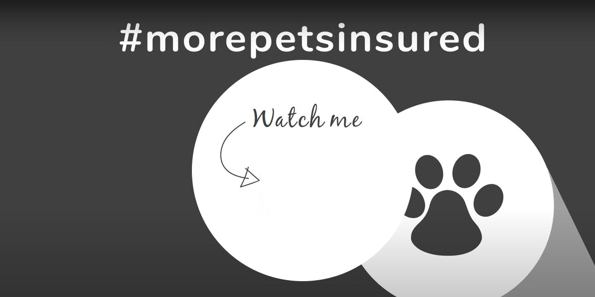 Watch our #morepetsinsured video 