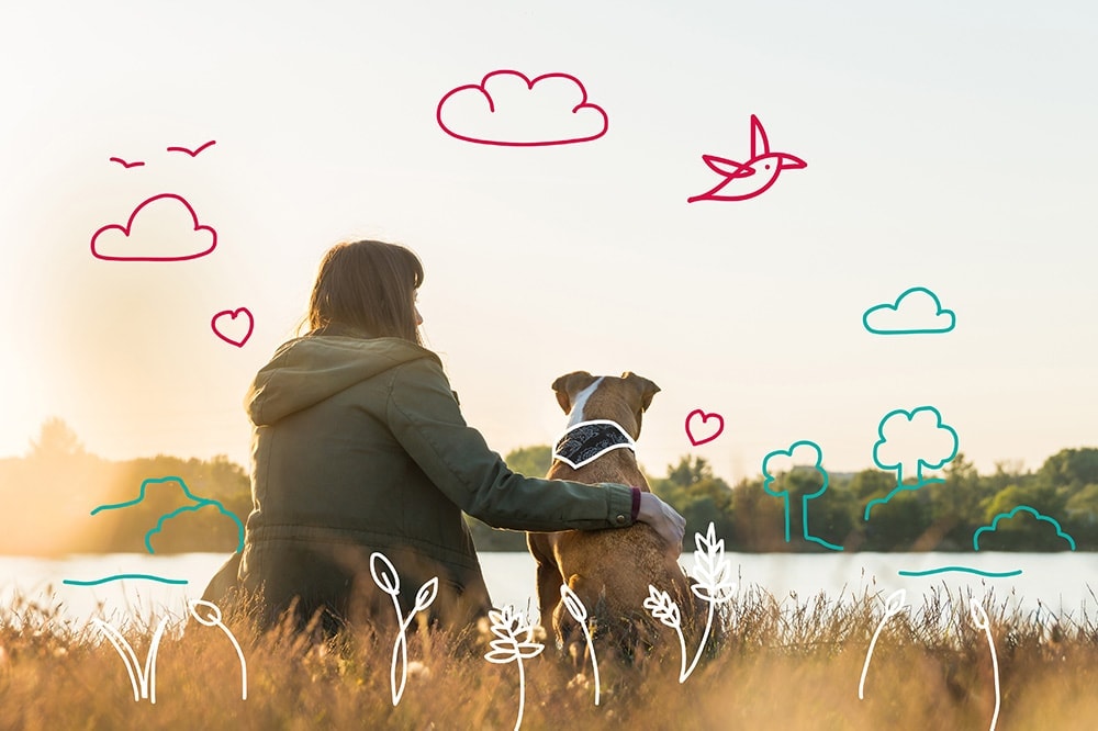 Dog stress and anxiety - spotting the signs of stress in dogs. A dog sits by a lake.