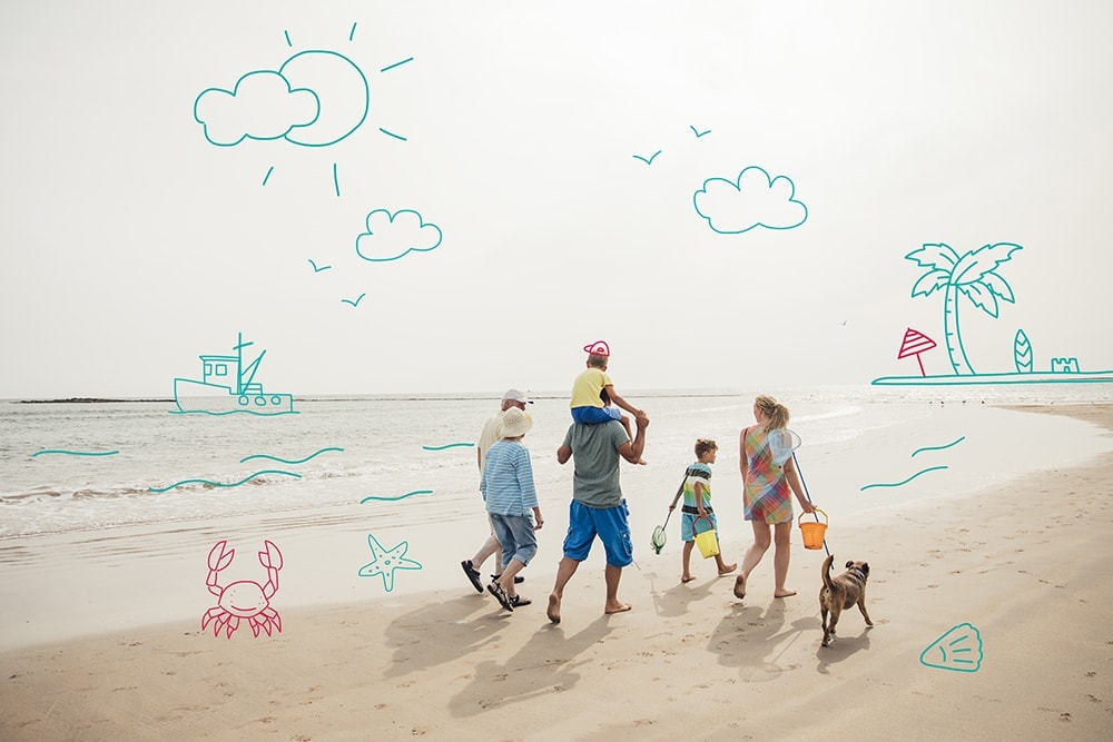 The Uk's most popular dog walking spots - The beach being number one!