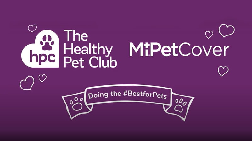 Doing the #BestforPets MiPet Cover + The Healthy Pet Club 