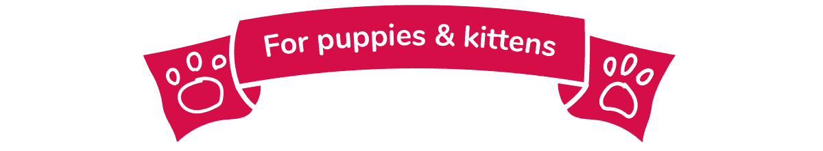 For puppies & kittens