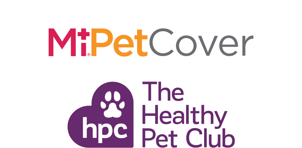 MiPet Cover and Healthy Pet Club - Doing the #BestForPets