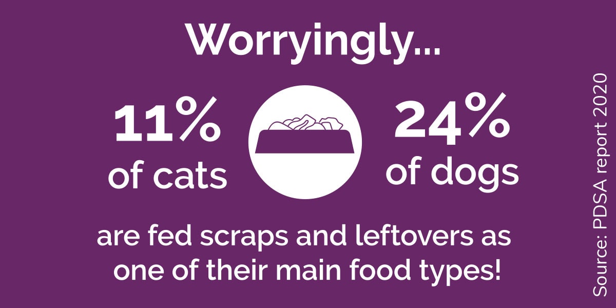 Worryingly... 11% of cats and 24% of dogs are fed scraps and leftovers as one of their main food types!