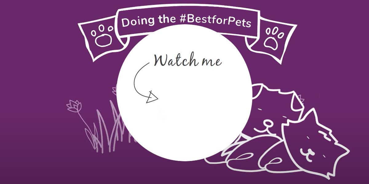 Watch the Doing the #BestForPets video now 