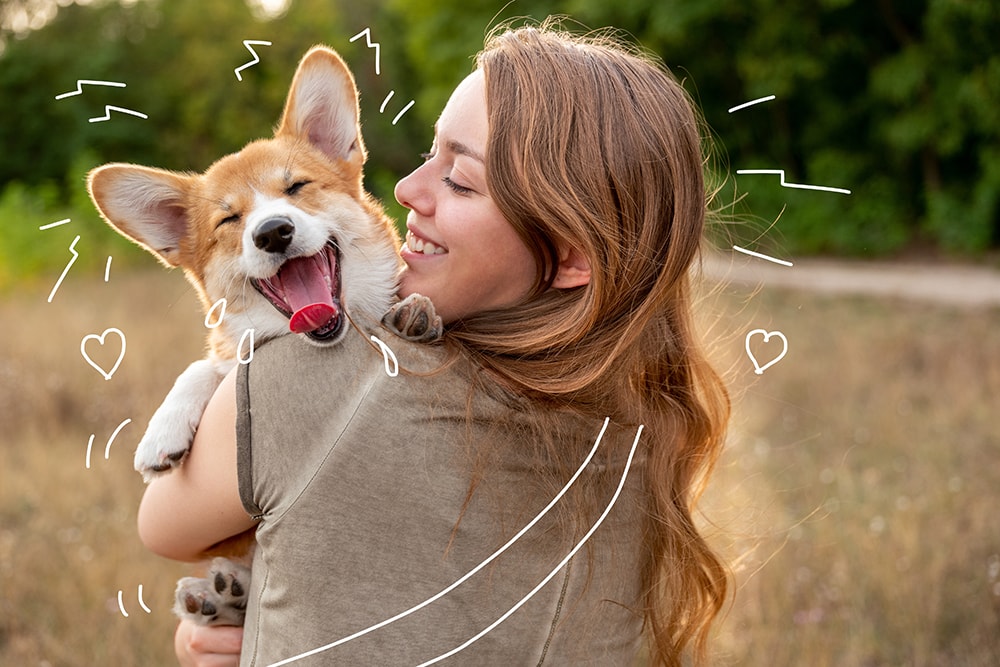 What Vaccinations should my Dog have? - A happy Corgi dog