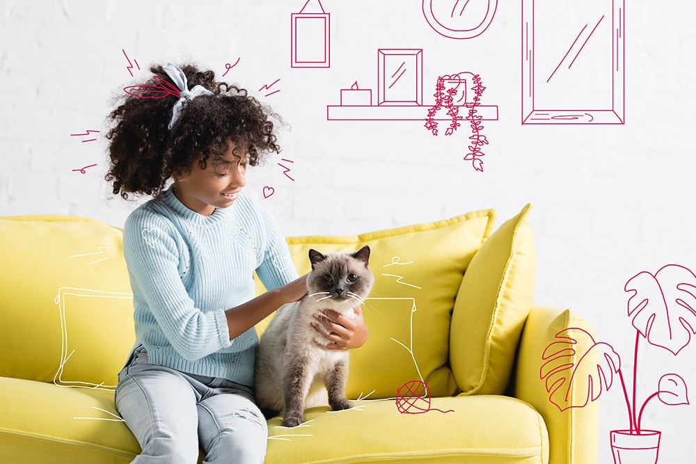 Siamese cat on a yellow sofa with a girl