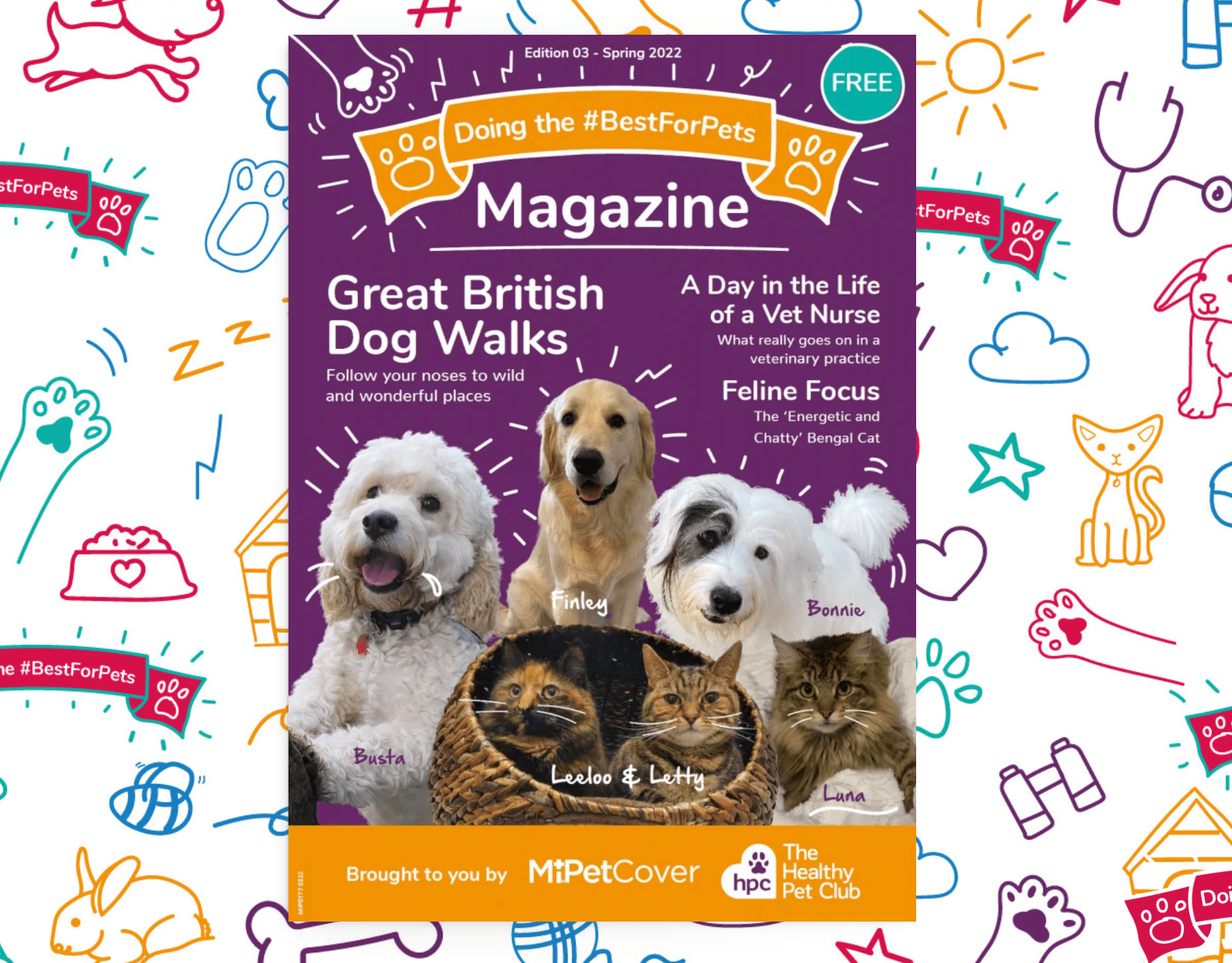 BestForPets Magazine 3 Out Now - Pet Magazine - Front cover with lots of pet pics on it