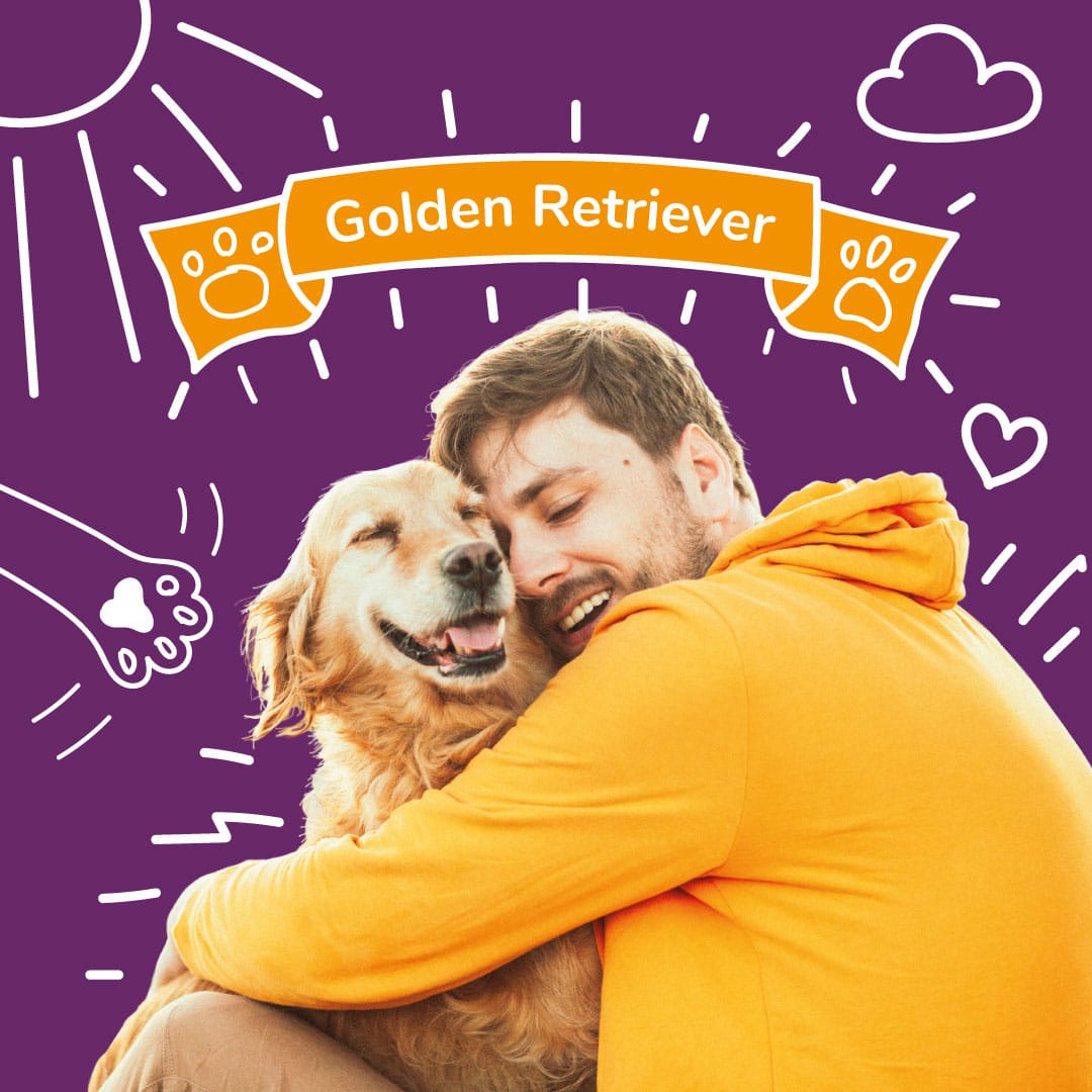 Golden Retriever Insurance - Get a free dog insuarnce quote. A man cuddles his Golden Retriever.