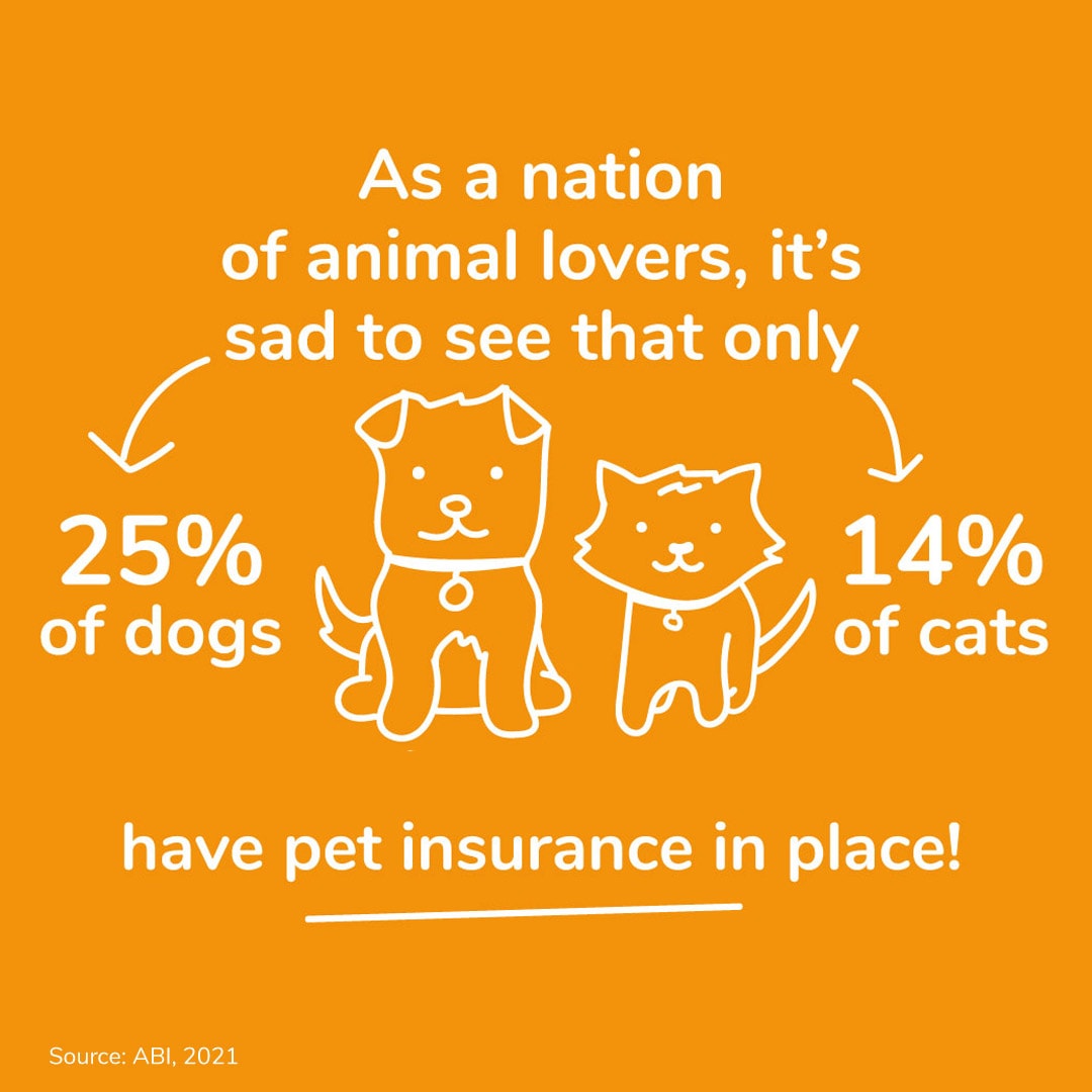 Only 25% of dogs and 14% of cats are estimated to be insured in the UK