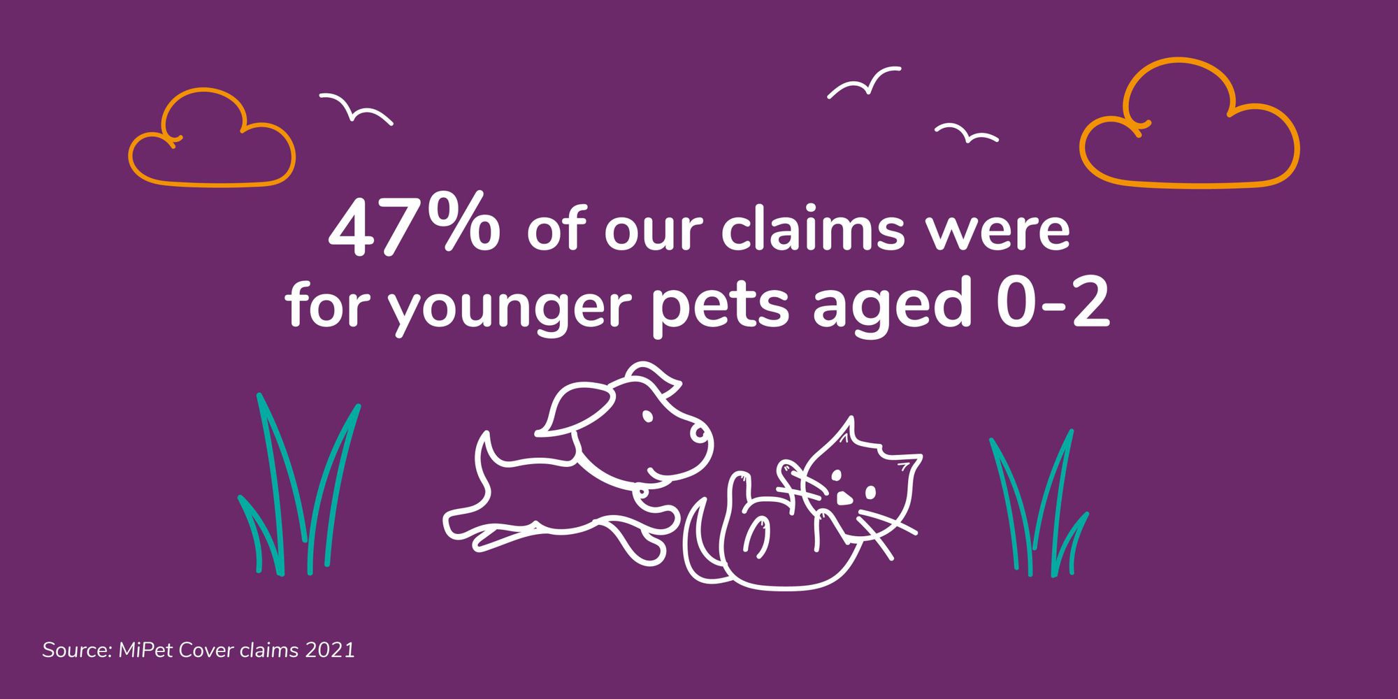 47% of MiPet Cover pet insurance claims were for pets aged 0-2 years old