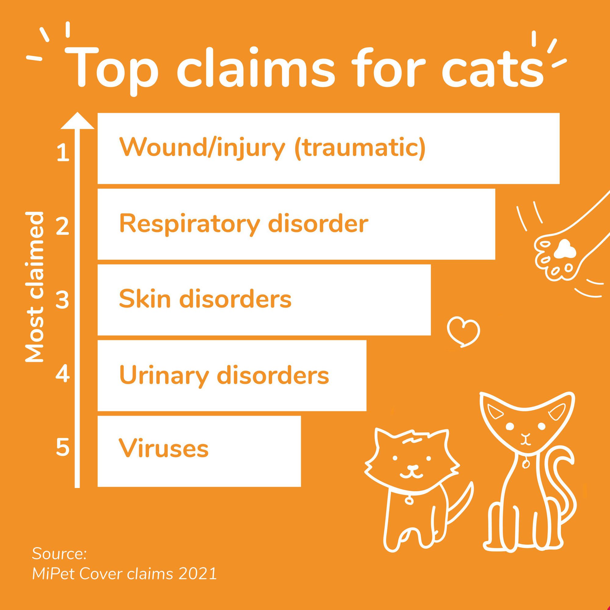 The top five pet insurance claims for cats
