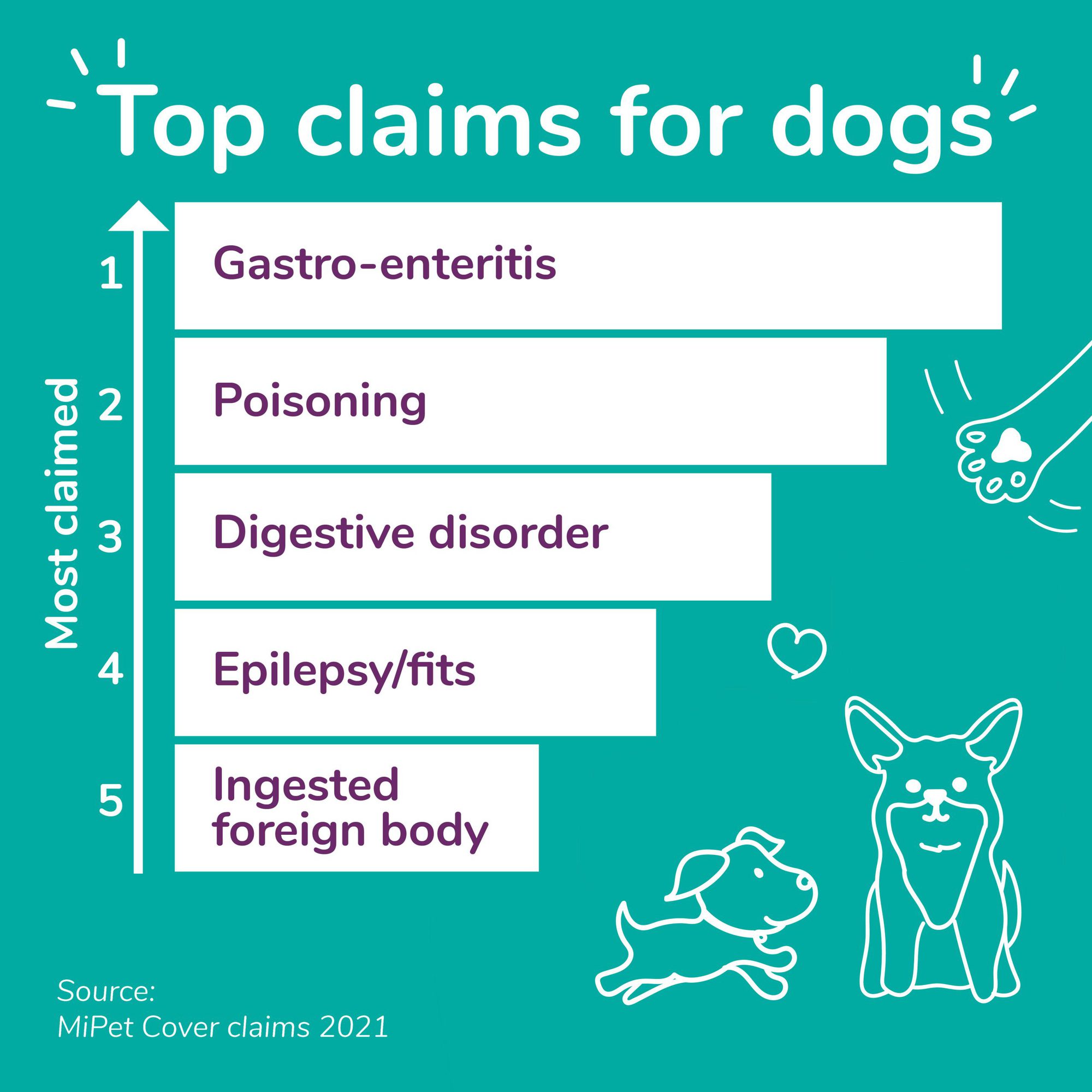 The top five pet insurance claims for dogs