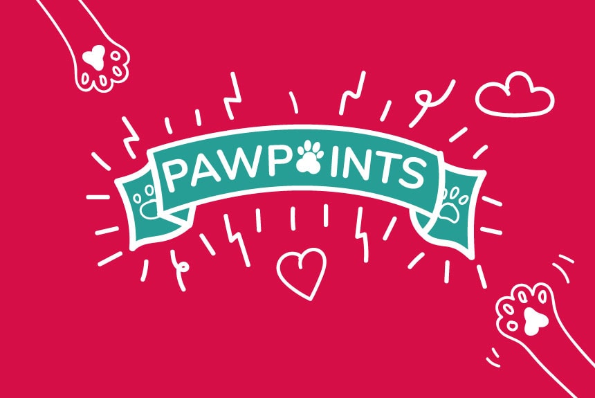 Pawpoints - the fun and furry card game