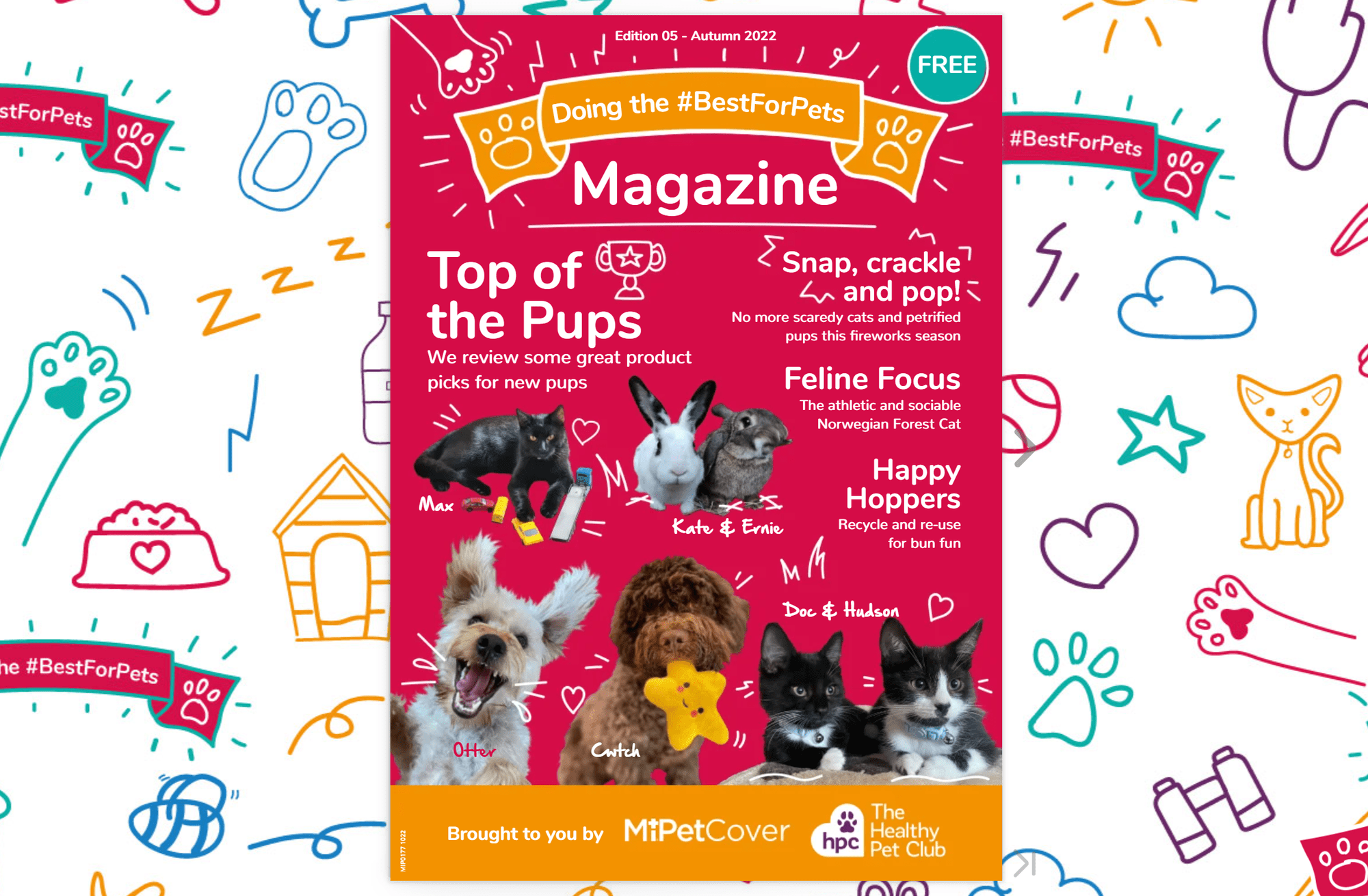 #BestForPets Magazine – Autumn 2022 issue out now!
