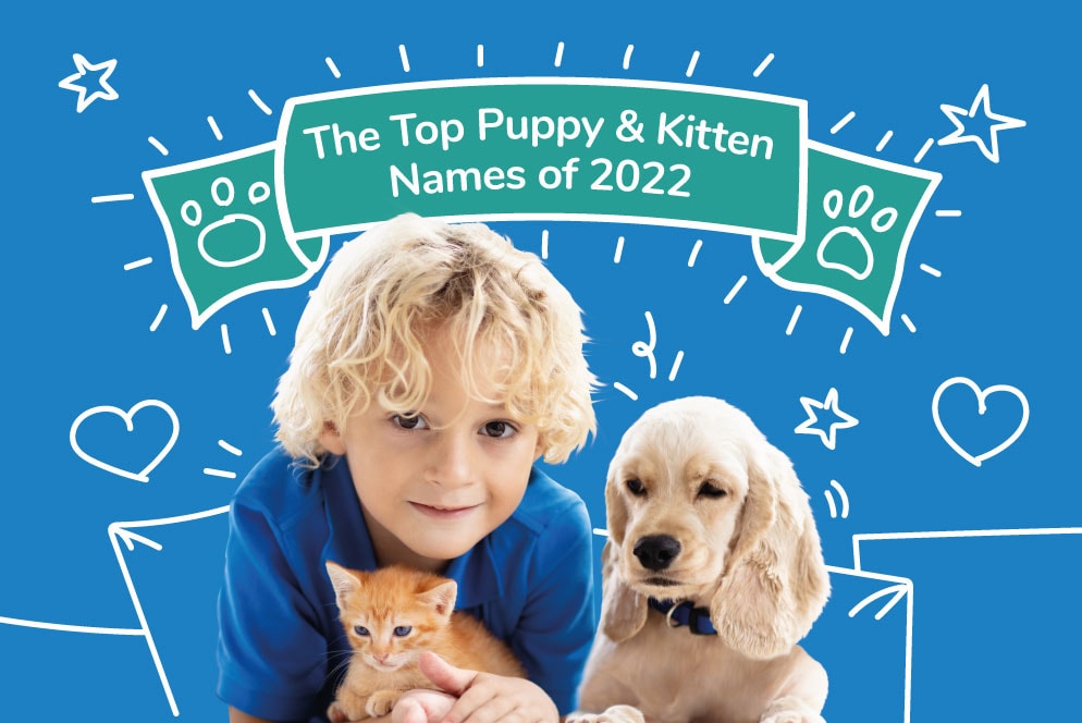 The Top Puppy & Kitten Names of 2022